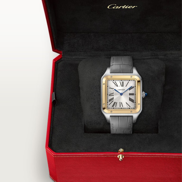 Cartier Santos de Cartier Santos-Dumont XL - W2SA0034 - #6 Cartier Santos de Cartier Santos-Dumont XL - W2SA0034 - #6
