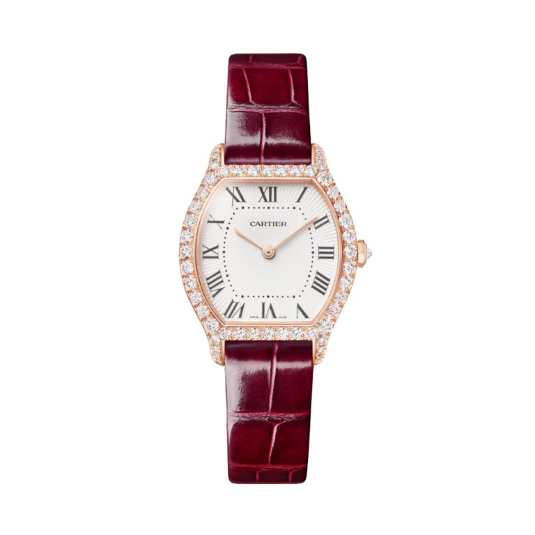 Tortue 0 - Cartier - WJTO0012 Tortue 0 - Cartier - WJTO0012