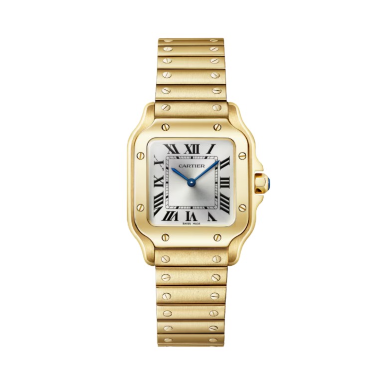 Santos de Cartier SM - Cartier - WGSA0107 Santos de Cartier SM - Cartier - WGSA0107