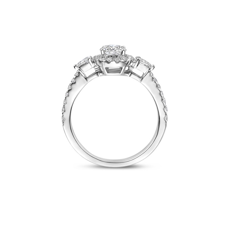 witgoud entourage ring met diamant Schaap en Citroen Diamonds - #4 witgoud entourage ring met diamant Schaap en Citroen Diamonds - #4