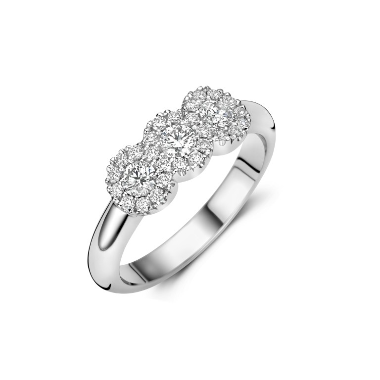 Diamonds Ring - Schaap en Citroen Diamonds Ring - Schaap en Citroen