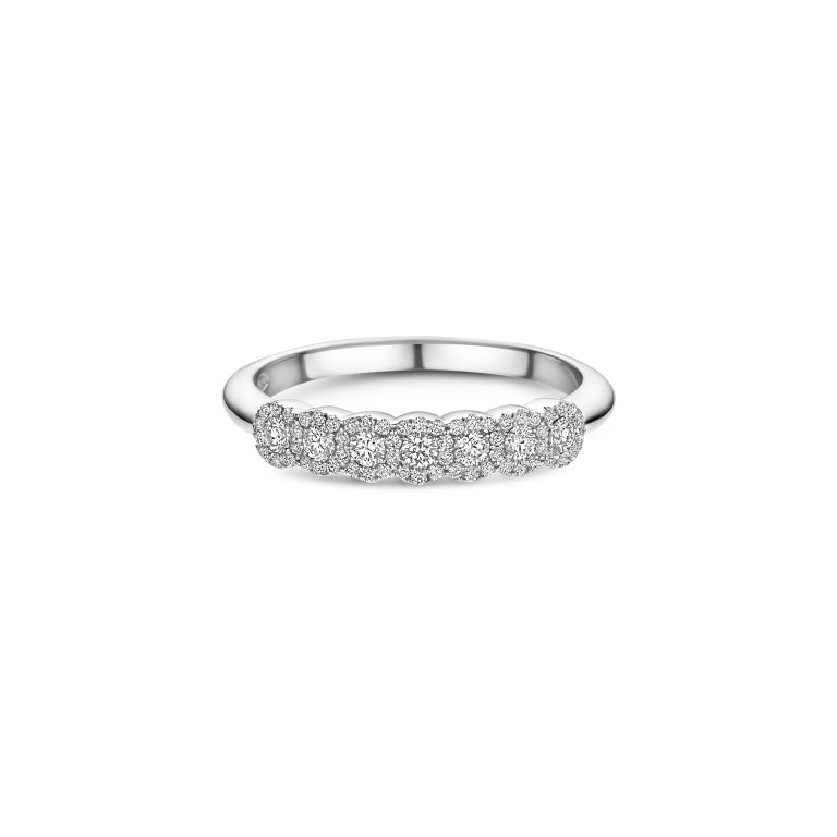 witgoud entourage ring met diamant Schaap en Citroen Diamonds - #3 witgoud entourage ring met diamant Schaap en Citroen Diamonds - #3