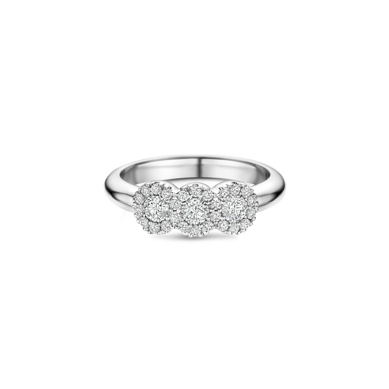 witgoud entourage ring met diamant Schaap en Citroen Diamonds - #3 witgoud entourage ring met diamant Schaap en Citroen Diamonds - #3