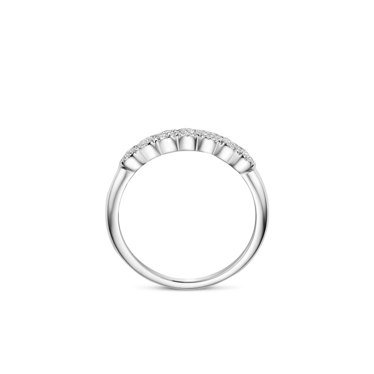 witgoud entourage ring met diamant Schaap en Citroen Diamonds - #4 witgoud entourage ring met diamant Schaap en Citroen Diamonds - #4