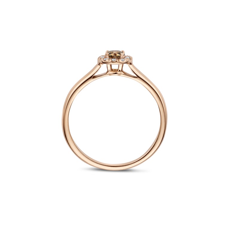 roodgoud entourage ring met diamant Schaap en Citroen Diamonds - #4 roodgoud entourage ring met diamant Schaap en Citroen Diamonds - #4