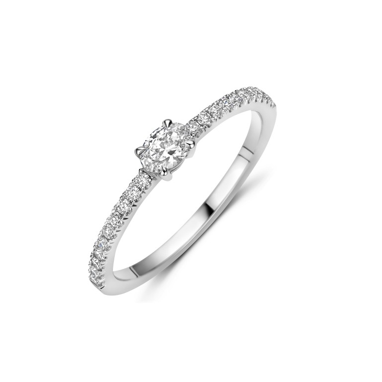 witgoud ring met diamant Schaap en Citroen Diamonds - #1 witgoud ring met diamant Schaap en Citroen Diamonds - #1