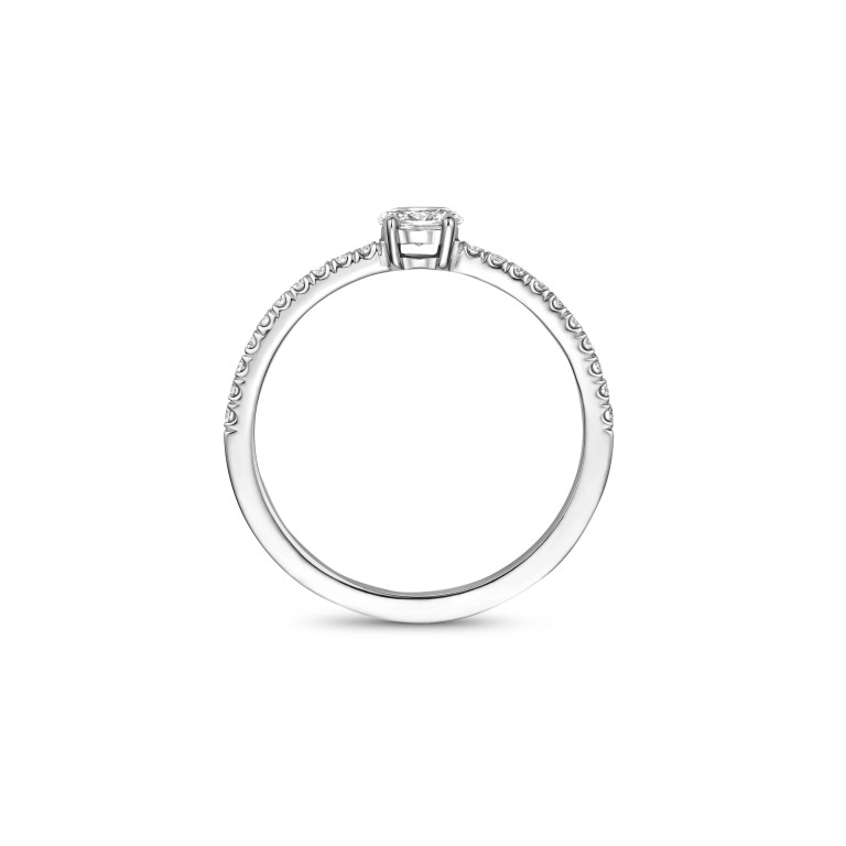 witgoud ring met diamant Schaap en Citroen Diamonds - #4 witgoud ring met diamant Schaap en Citroen Diamonds - #4