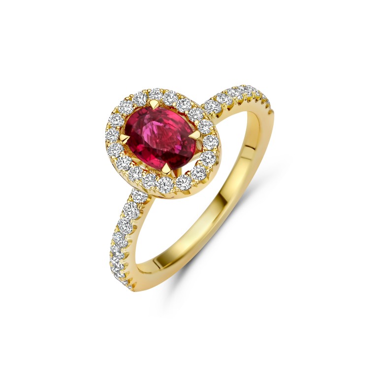 geelgoud entourage ring met diamant Schaap en Citroen Diamonds - #1 geelgoud entourage ring met diamant Schaap en Citroen Diamonds - #1