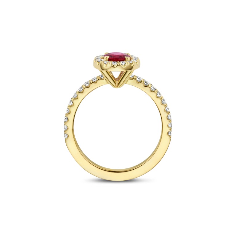 geelgoud entourage ring met diamant Schaap en Citroen Diamonds - #4 geelgoud entourage ring met diamant Schaap en Citroen Diamonds - #4