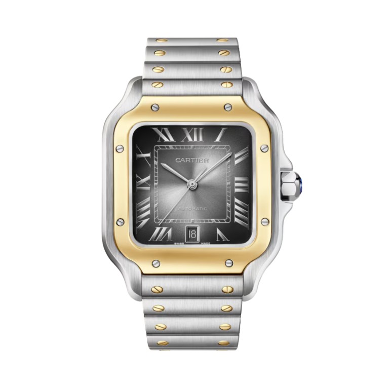 Santos de Cartier LM - Cartier - W2SA0030 Santos de Cartier LM - Cartier - W2SA0030