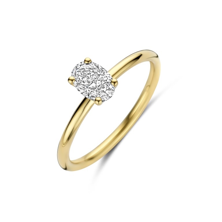 geelgoud solitair ring met diamant Schaap en Citroen Diamonds - #1 geelgoud solitair ring met diamant Schaap en Citroen Diamonds - #1