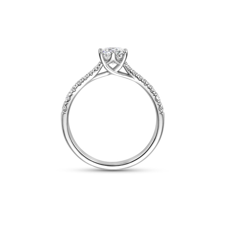 witgoud ring met diamant Schaap en Citroen Diamonds - #4 witgoud ring met diamant Schaap en Citroen Diamonds - #4