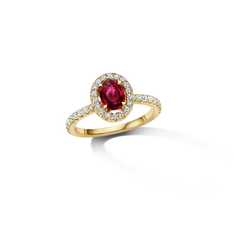 geelgoud entourage ring met diamant Schaap en Citroen Diamonds - #5 geelgoud entourage ring met diamant Schaap en Citroen Diamonds - #5