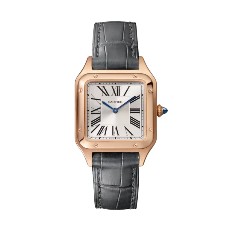 Santos de Cartier SM - Cartier - WGSA0117 Santos de Cartier SM - Cartier - WGSA0117