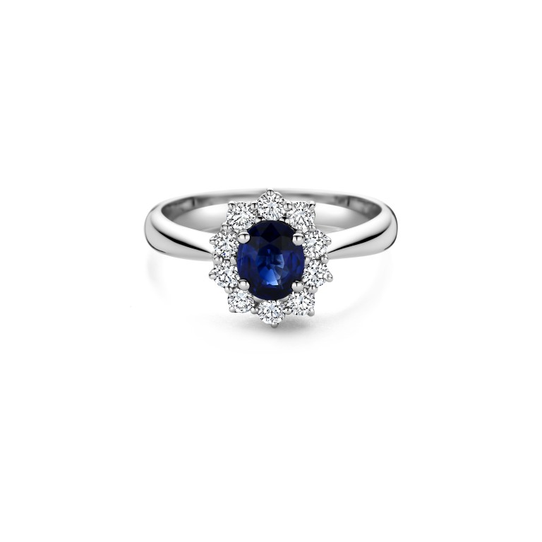 witgoud entourage ring met diamant Schaap en Citroen Colours - #3 witgoud entourage ring met diamant Schaap en Citroen Colours - #3
