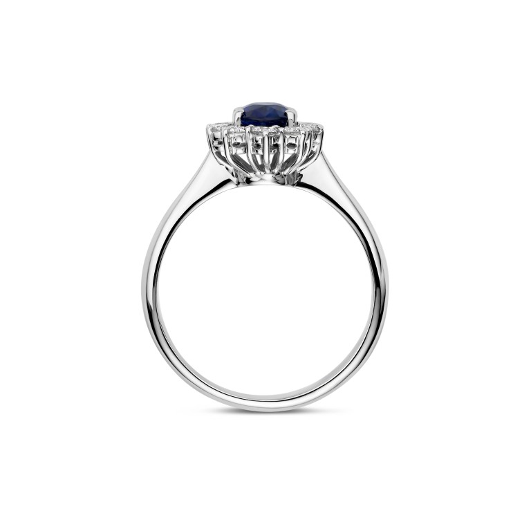 witgoud entourage ring met diamant Schaap en Citroen Colours - #4 witgoud entourage ring met diamant Schaap en Citroen Colours - #4