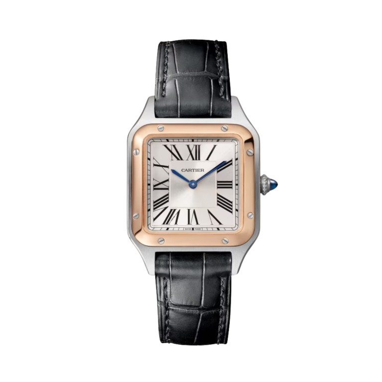 Santos de Cartier SM - Cartier - W2SA0038 Santos de Cartier SM - Cartier - W2SA0038