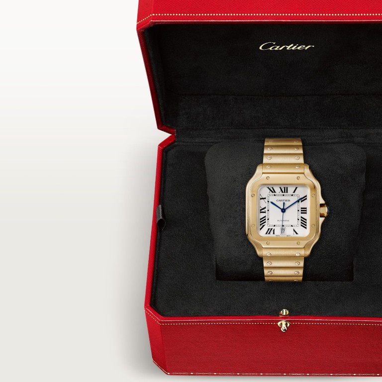 Cartier Santos de Cartier LM - WGSA0029 - #12 Cartier Santos de Cartier LM - WGSA0029 - #12
