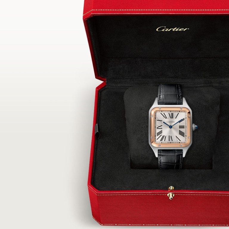 Cartier Santos de Cartier Santos-Dumont LM - W2SA0011 - #10 Cartier Santos de Cartier Santos-Dumont LM - W2SA0011 - #10