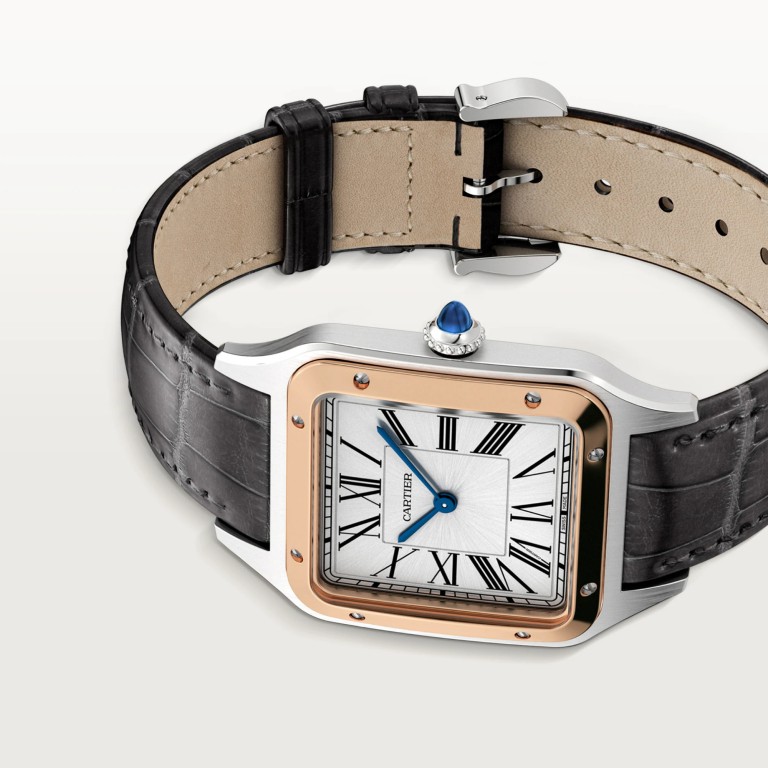 Cartier Santos de Cartier Santos-Dumont LM - W2SA0011 - #4 Cartier Santos de Cartier Santos-Dumont LM - W2SA0011 - #4