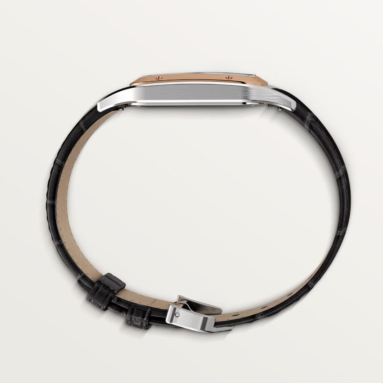 Cartier Santos de Cartier Santos-Dumont LM - W2SA0011 - #7 Cartier Santos de Cartier Santos-Dumont LM - W2SA0011 - #7