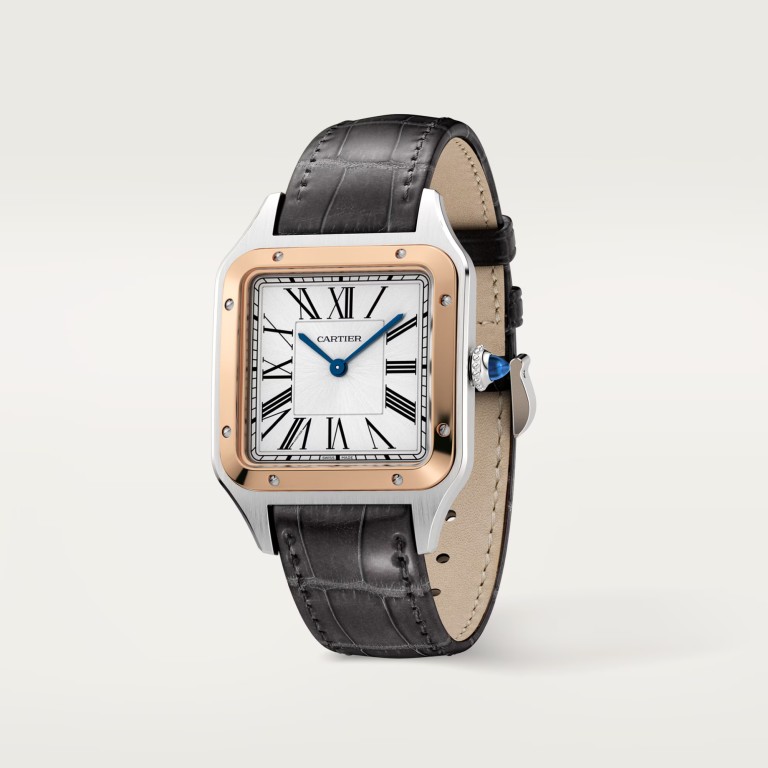 Cartier Santos de Cartier Santos-Dumont LM - W2SA0011 - #3 Cartier Santos de Cartier Santos-Dumont LM - W2SA0011 - #3