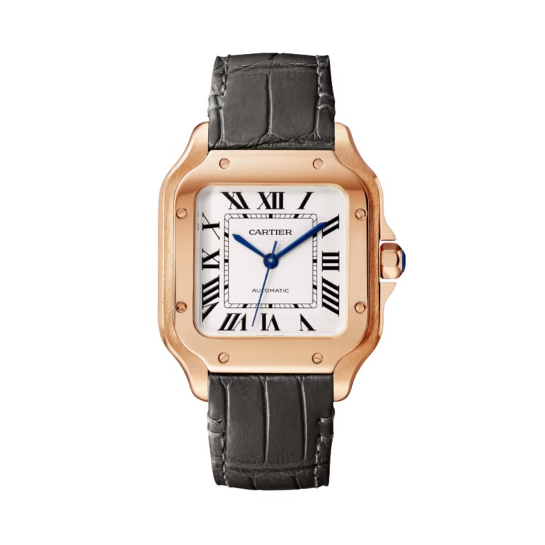 Santos de Cartier MM - Cartier - WGSA0028 Santos de Cartier MM - Cartier - WGSA0028